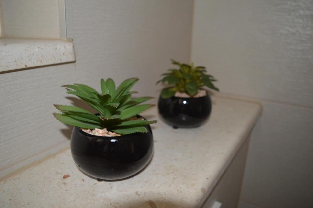 Apartman Dane マカルスカ エクステリア 写真